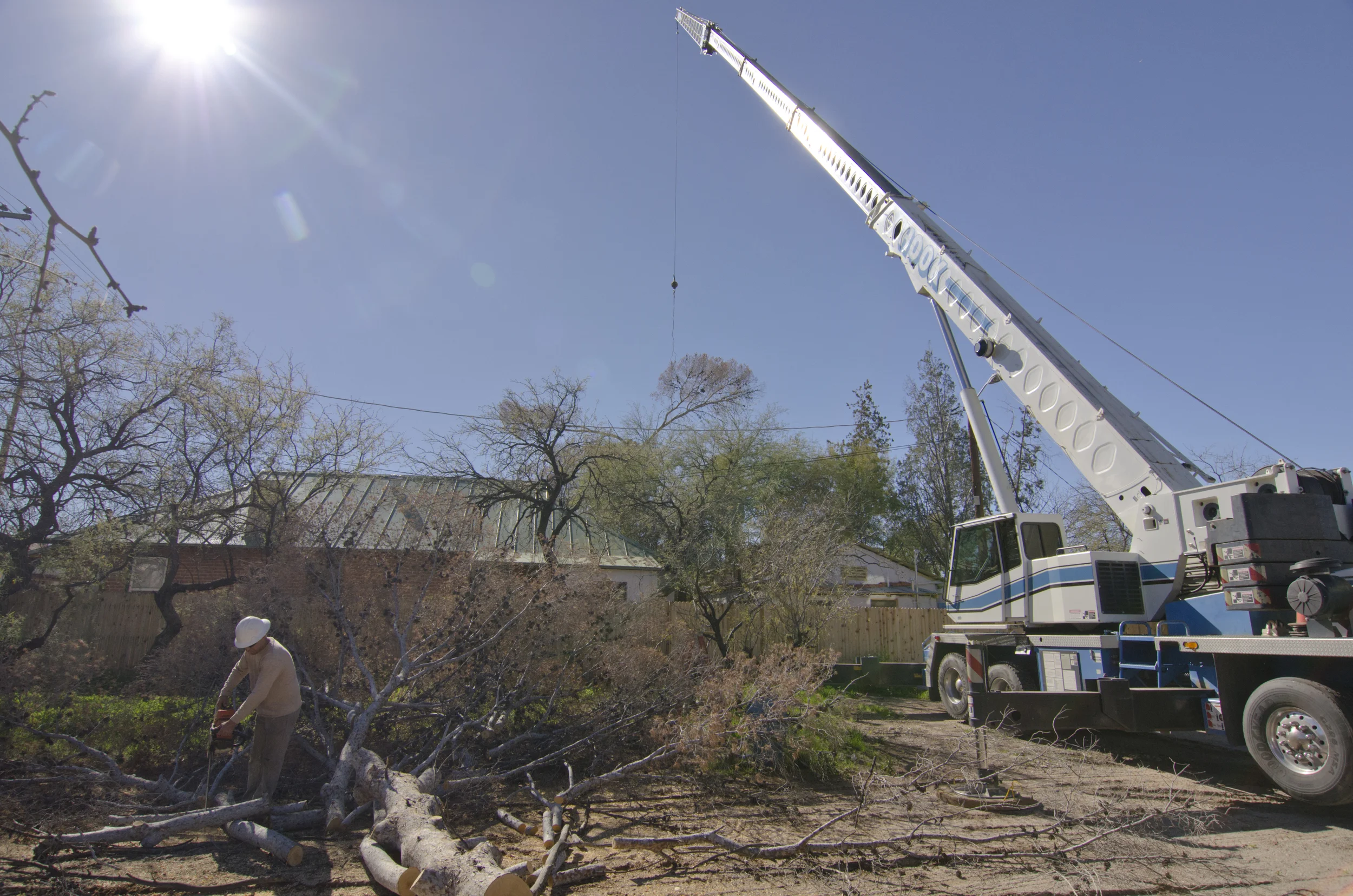 tree_crane_worker.jpg