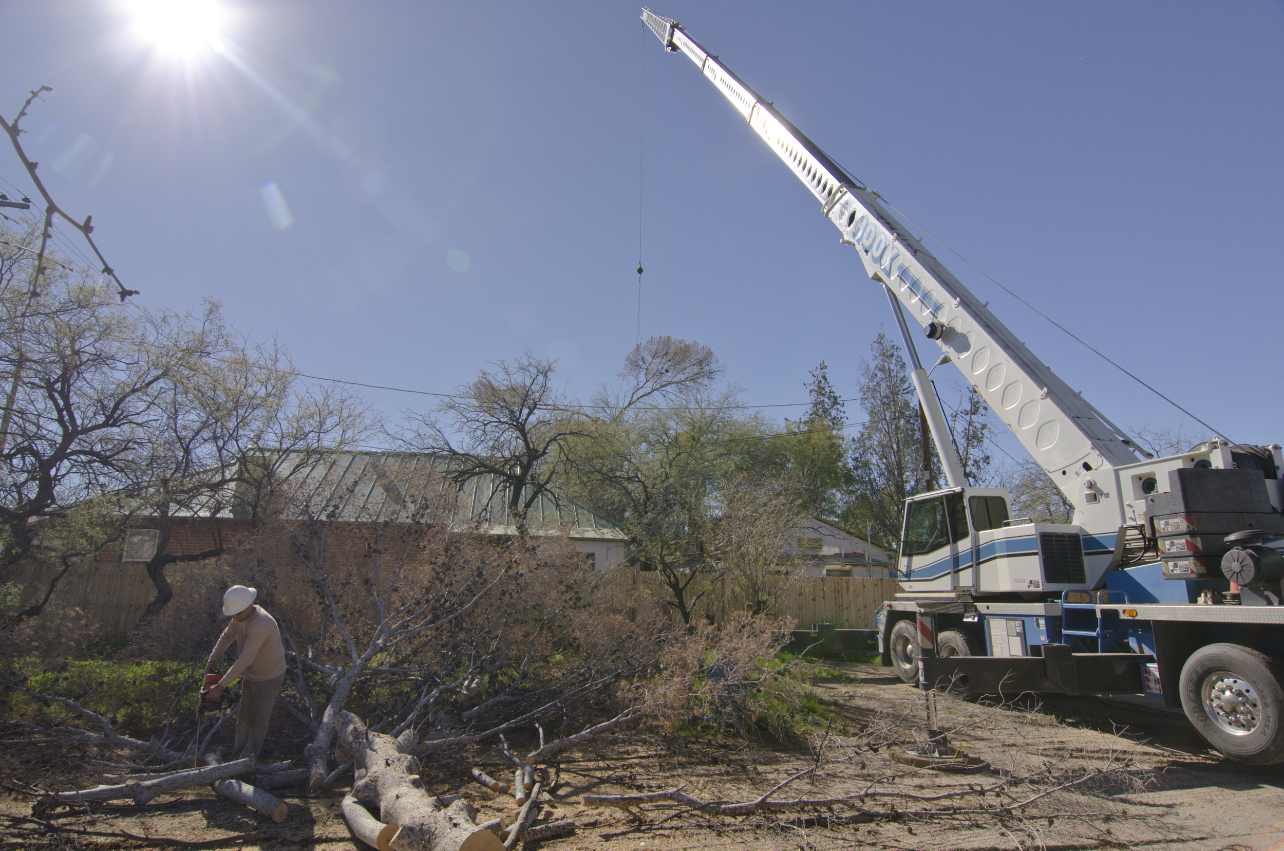tree_crane_worker.jpg