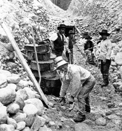 Gold Miners, Kumara