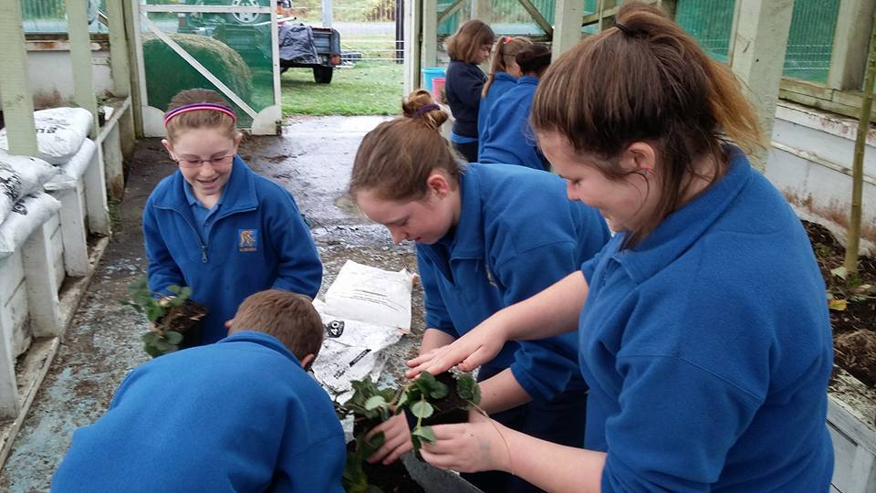 Kumara School children in action