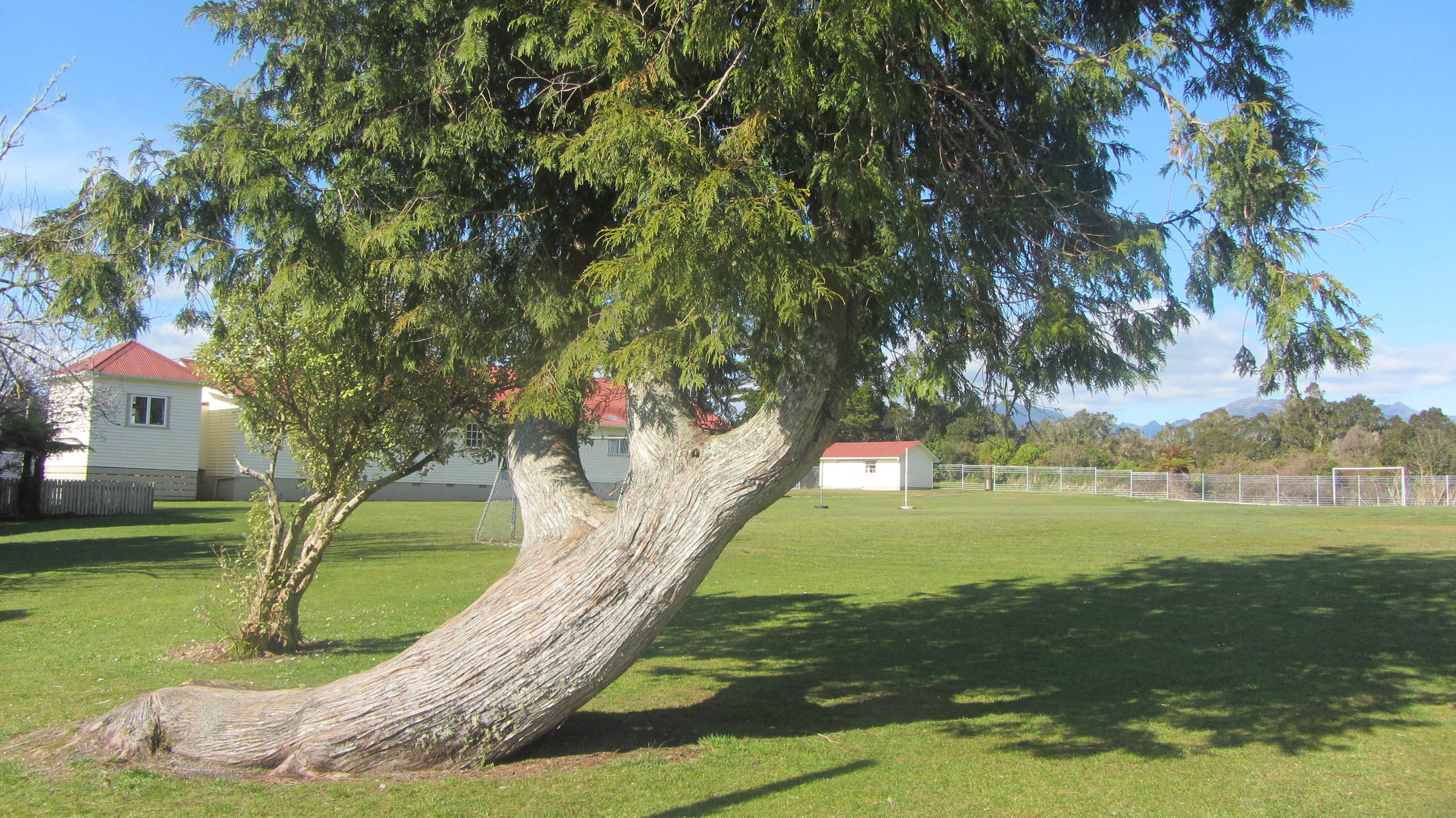 Kumara School Environment