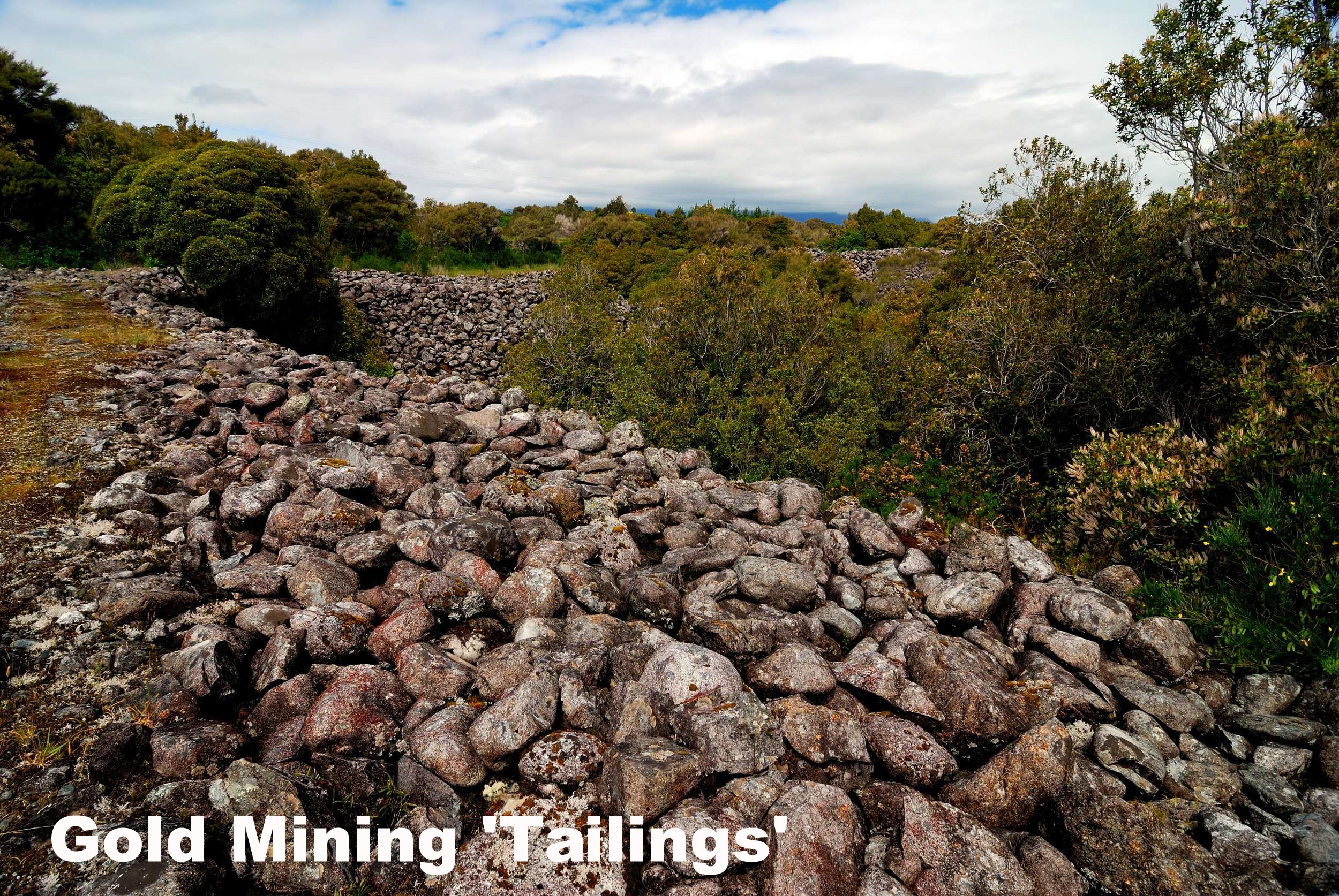 Gold Mining tailings (near Kumara)