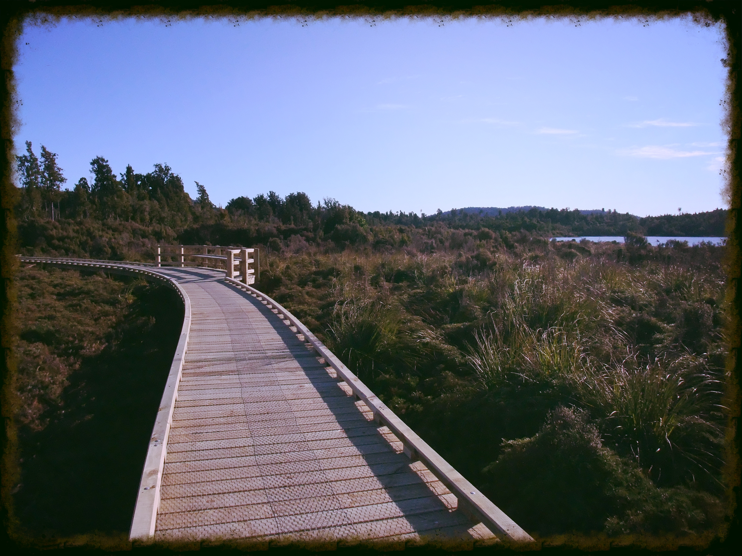 West Coast Wilderness Trail boardwalks (near Kumara)