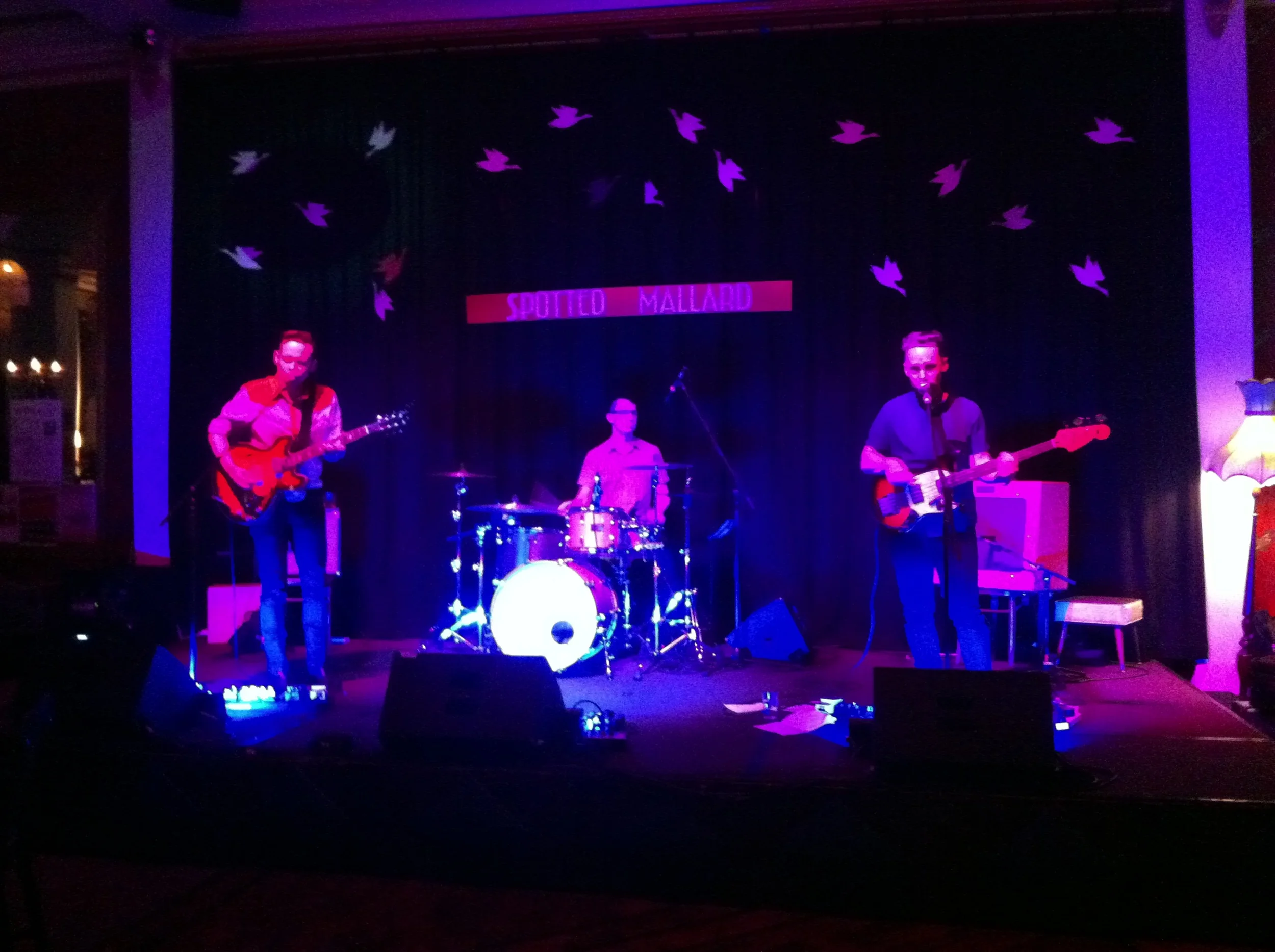 Photo by Laura J Coates, taken at The Spotted Mallard, 15/10/2015.