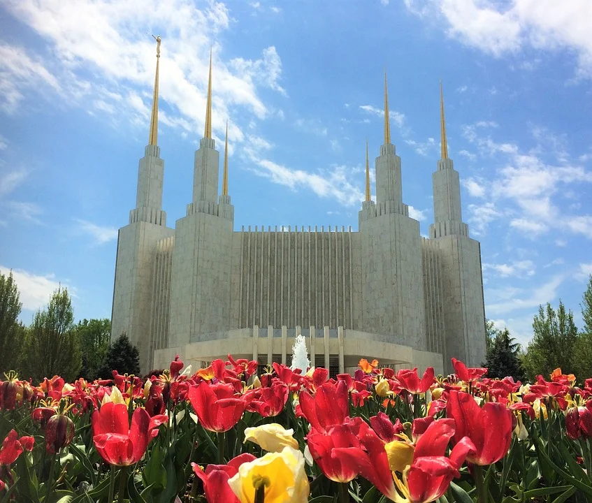 My Mormon Brothers, lets talk about your members who struggle with Homosexuality.
