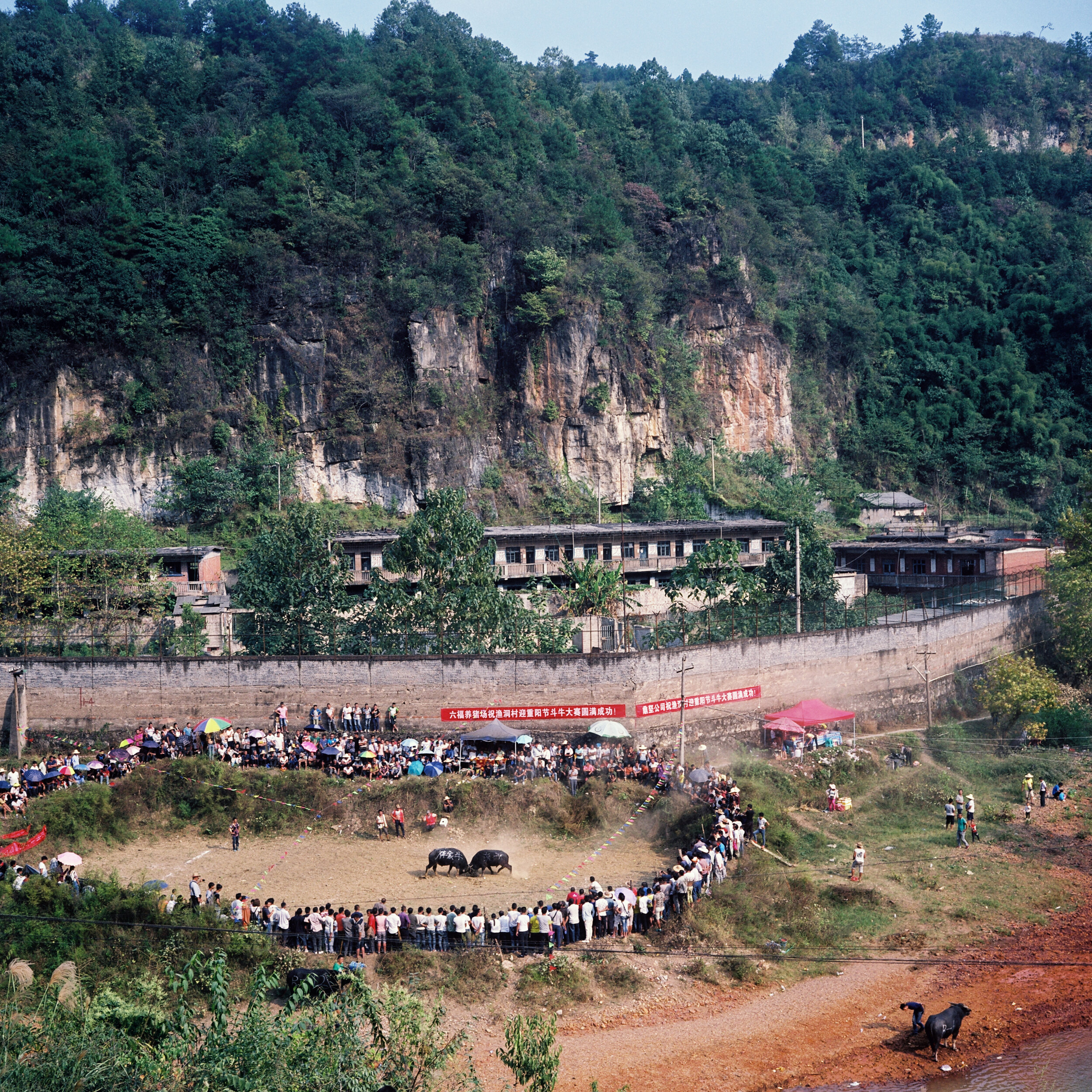 guizhou 22.jpg