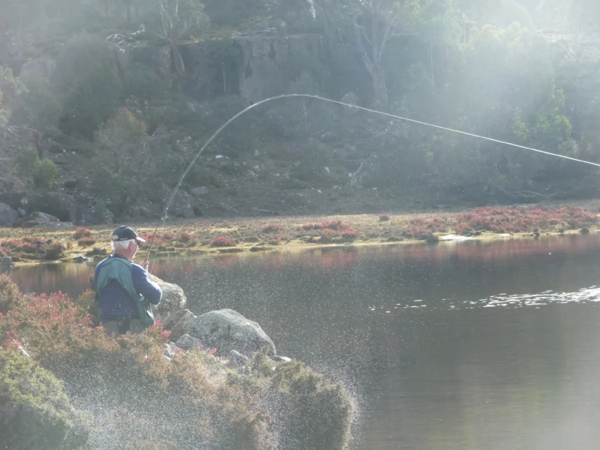 Tea Tree Lodge - trout fishing holiday Tasmania