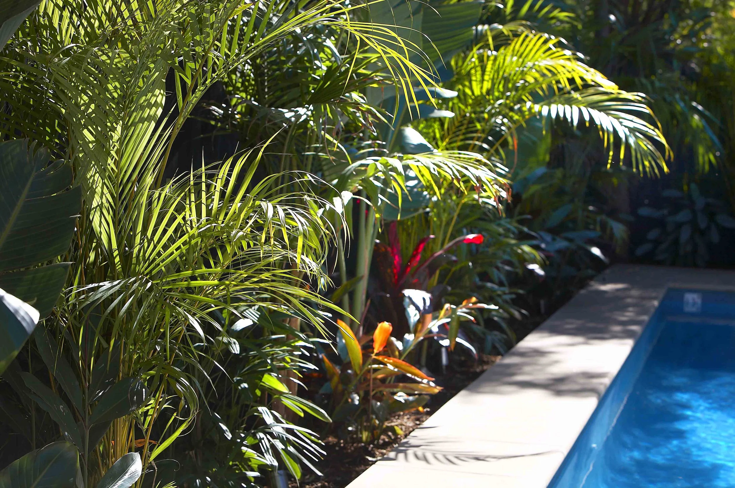 Utopian Gardens Pty Ltd