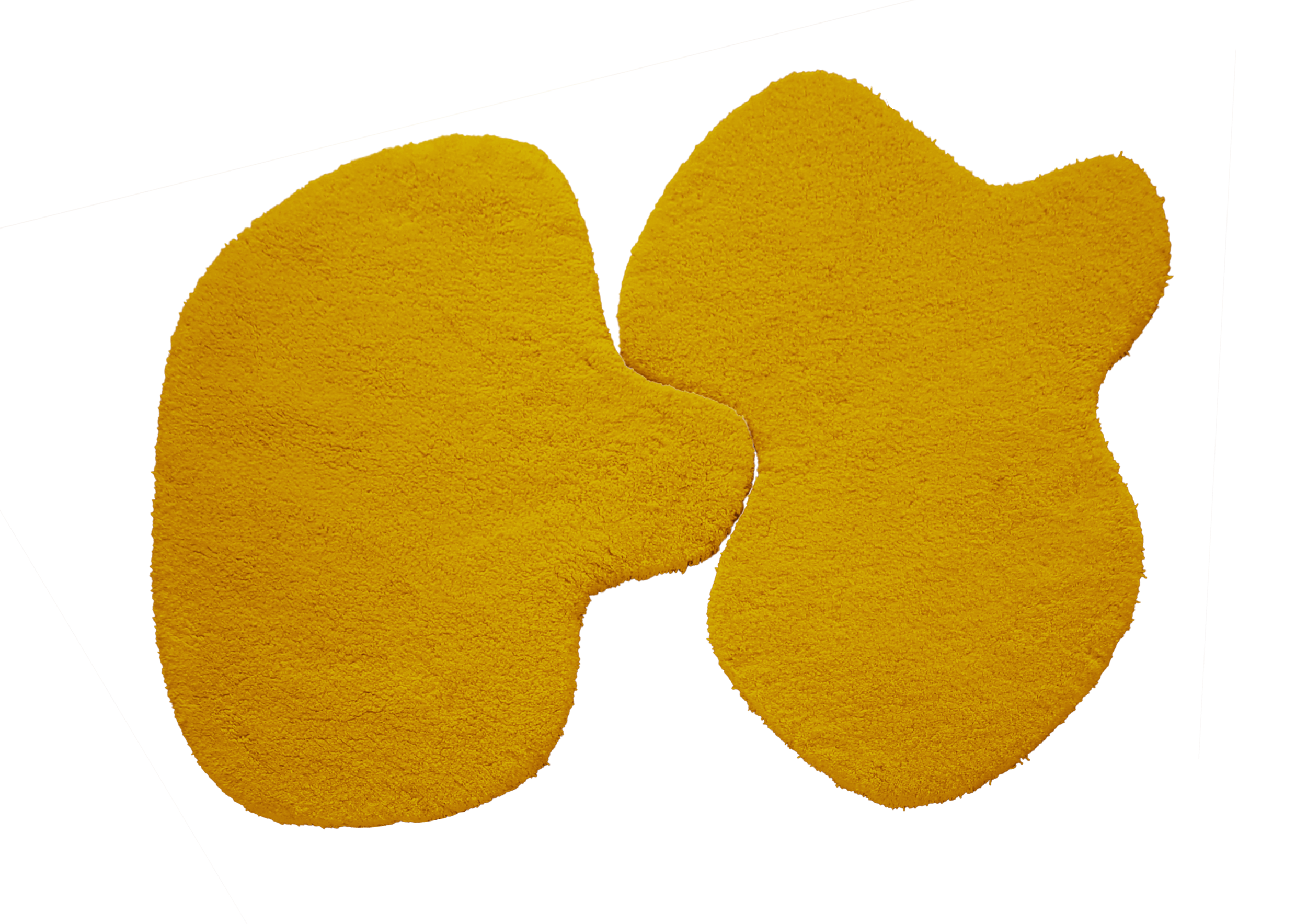 GAYS YELLOW.png