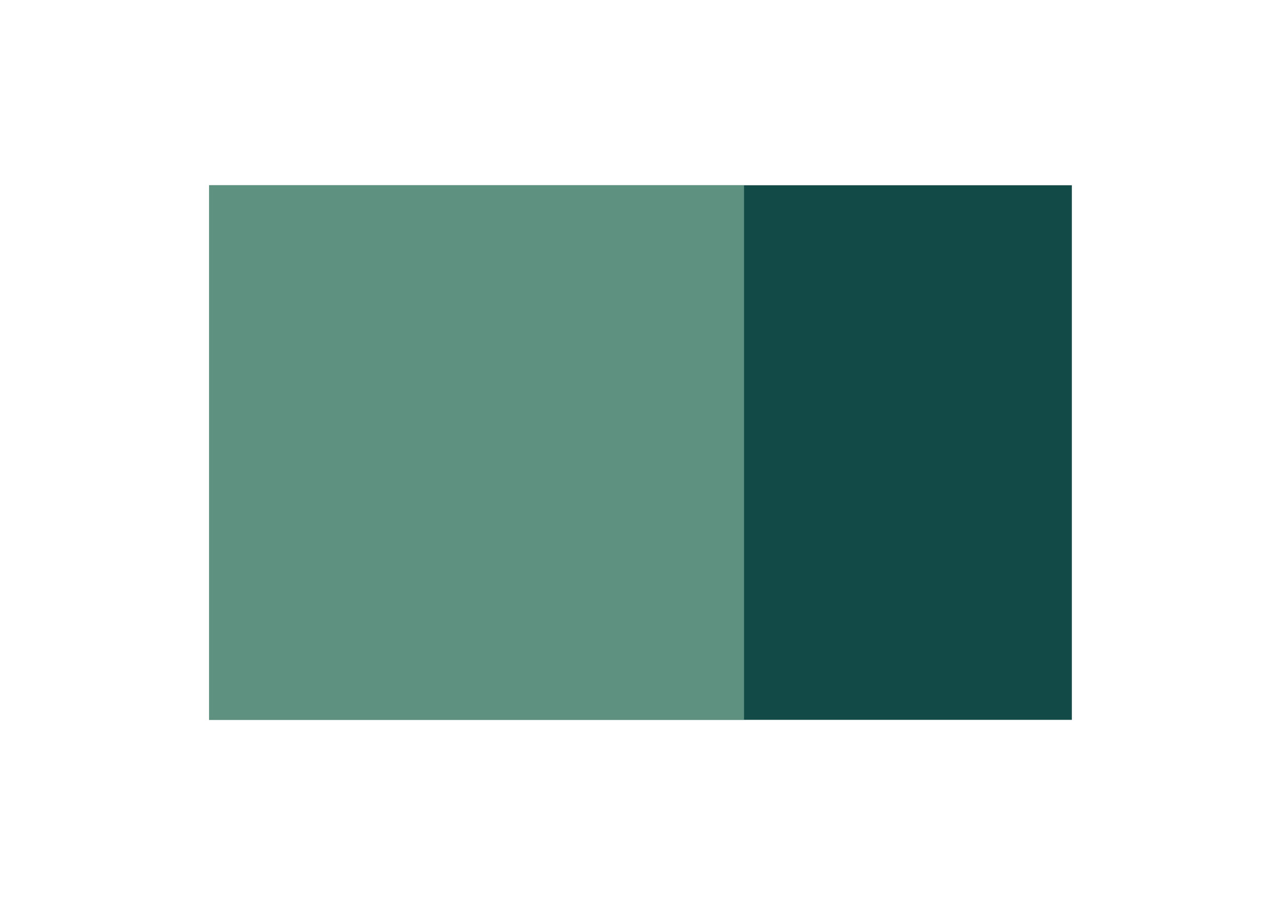 THE RECTANGLE.png