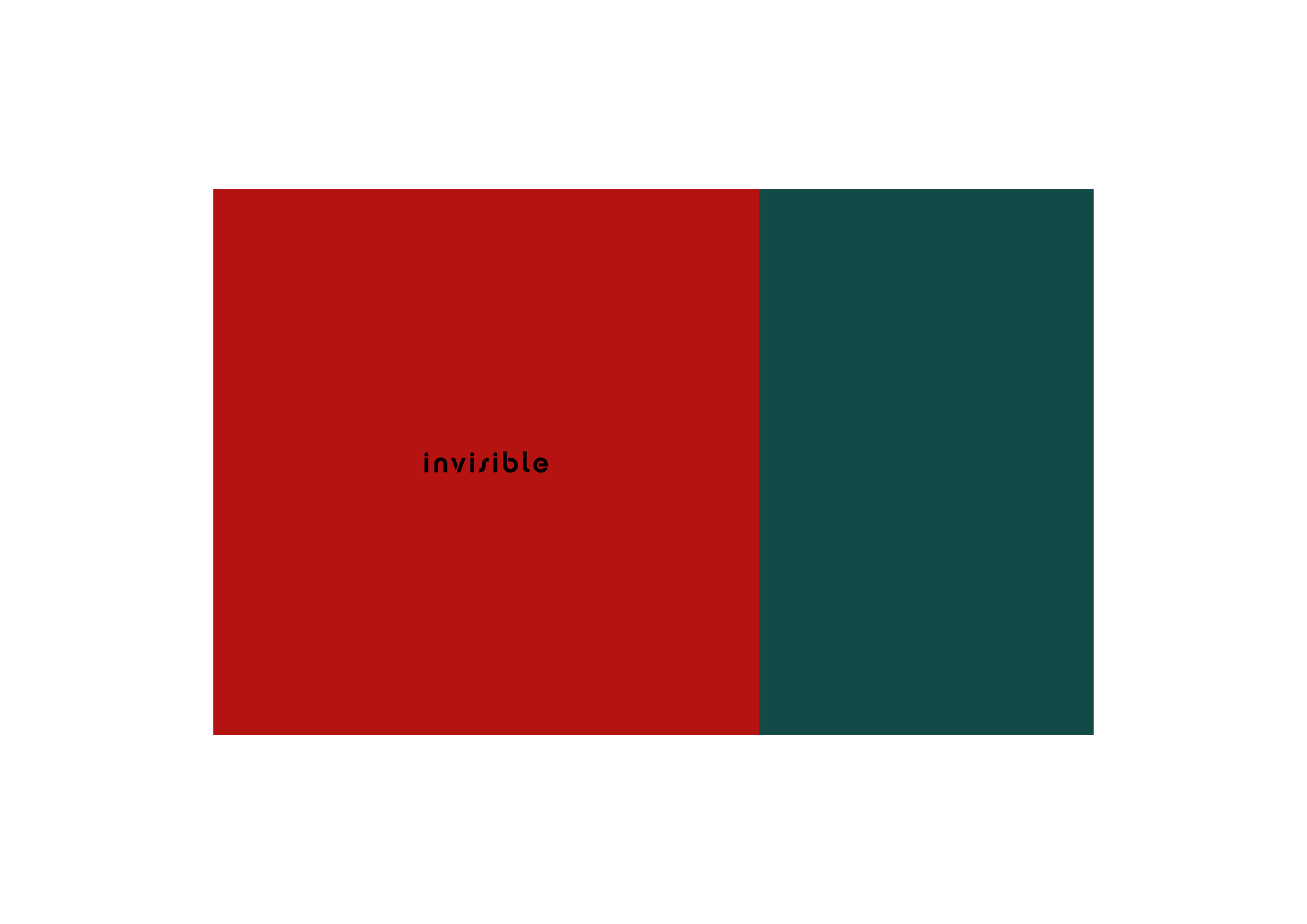  invisible rug 