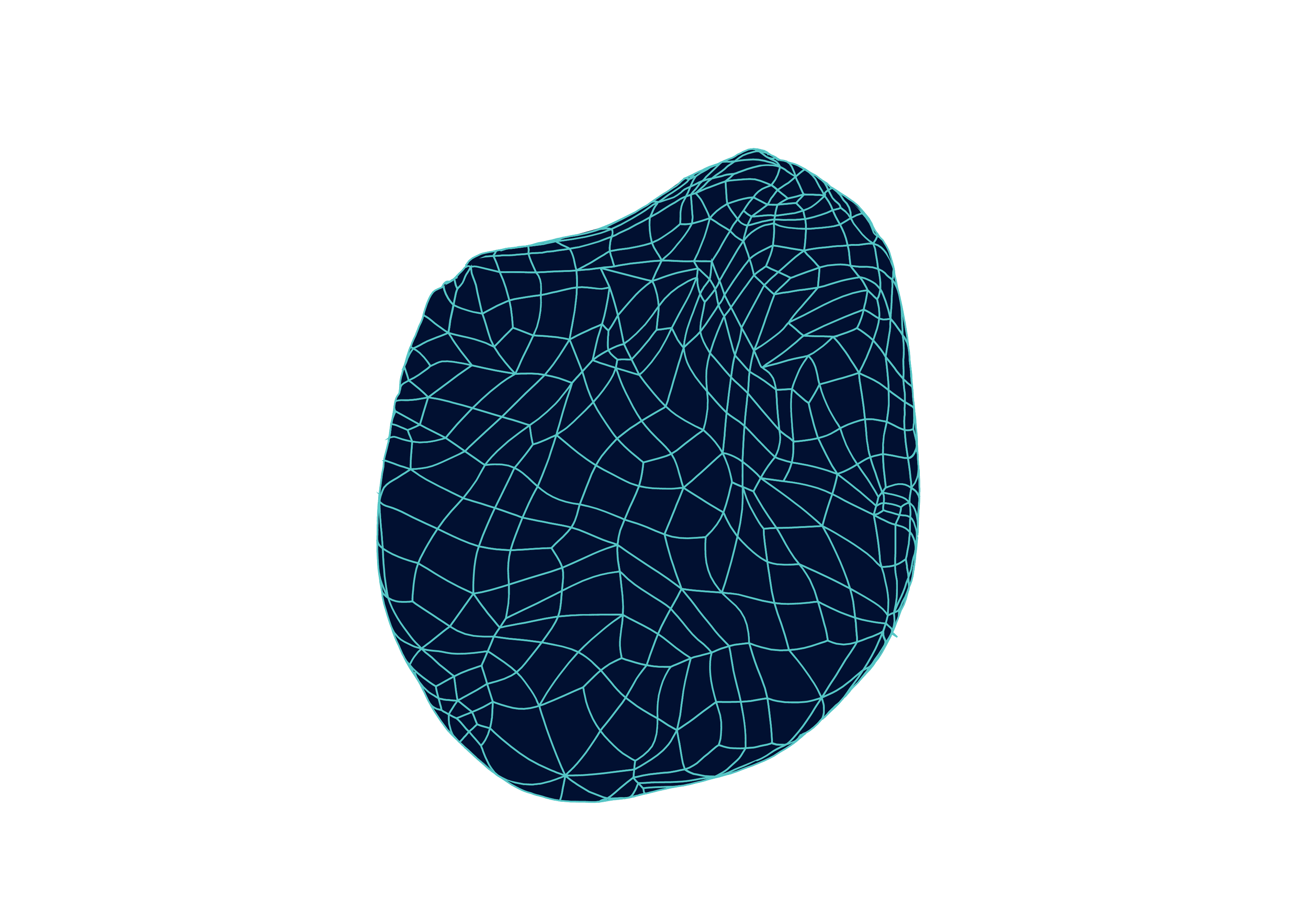 ST04 rug I