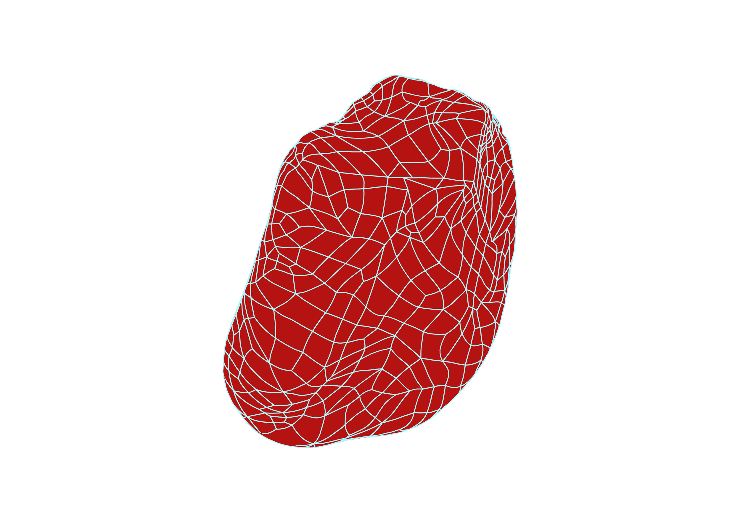 ST04 rug II