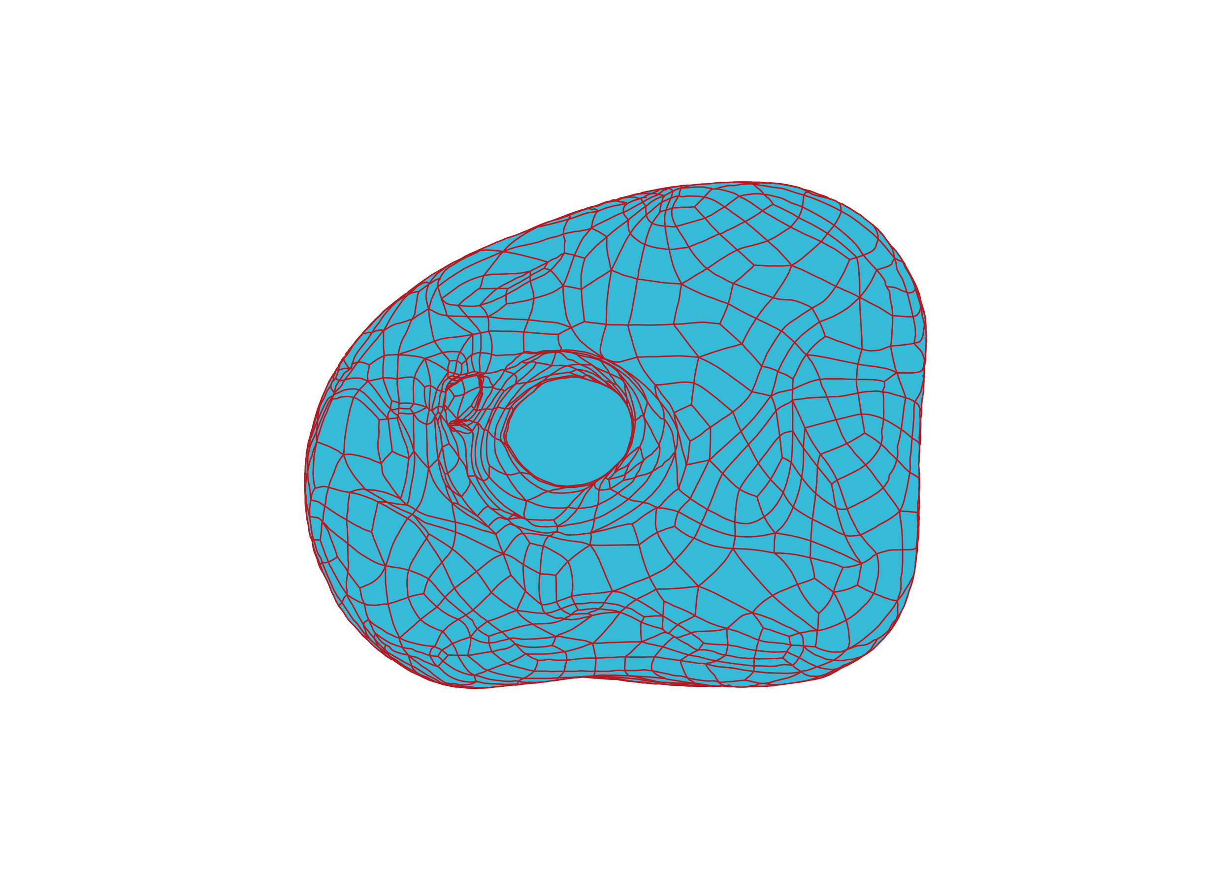 ST01 rug I