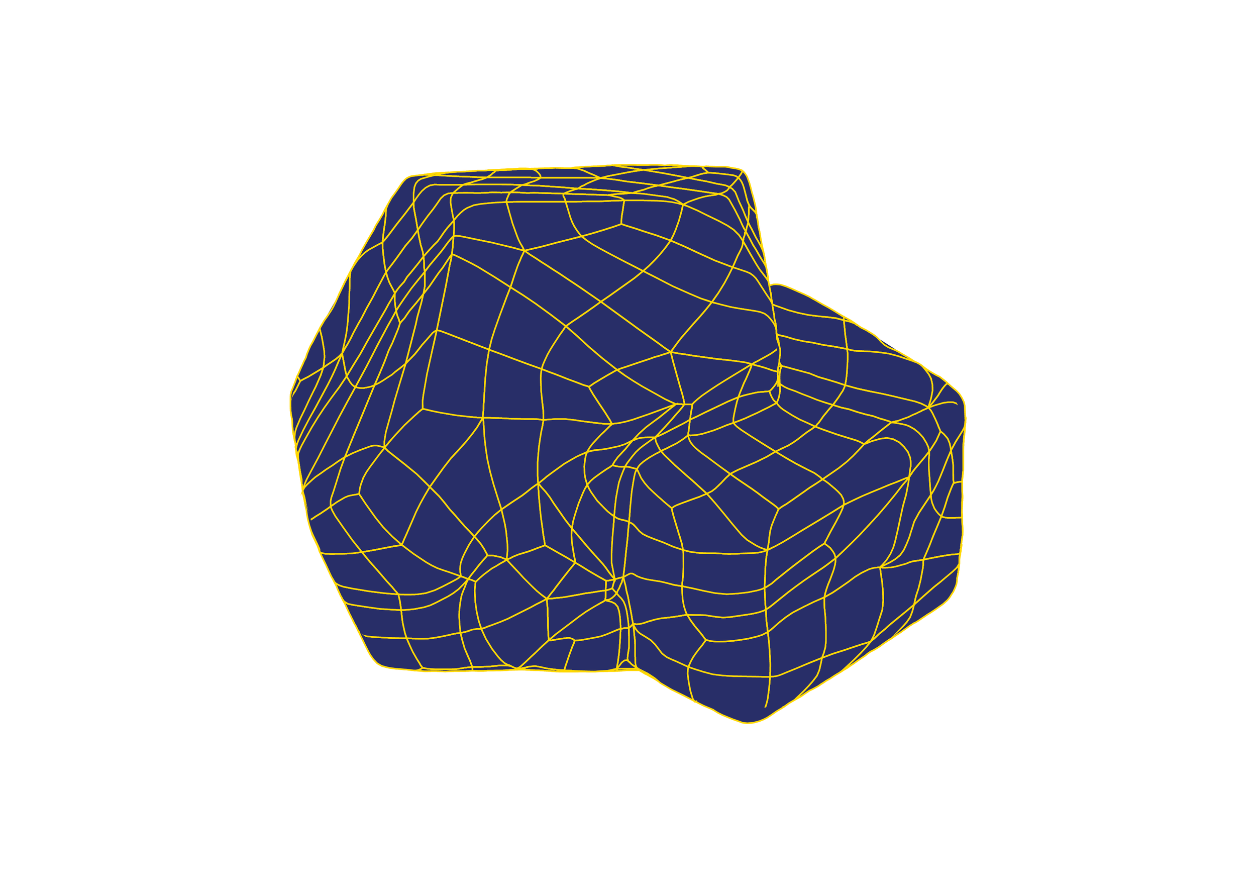 PY04 rug I