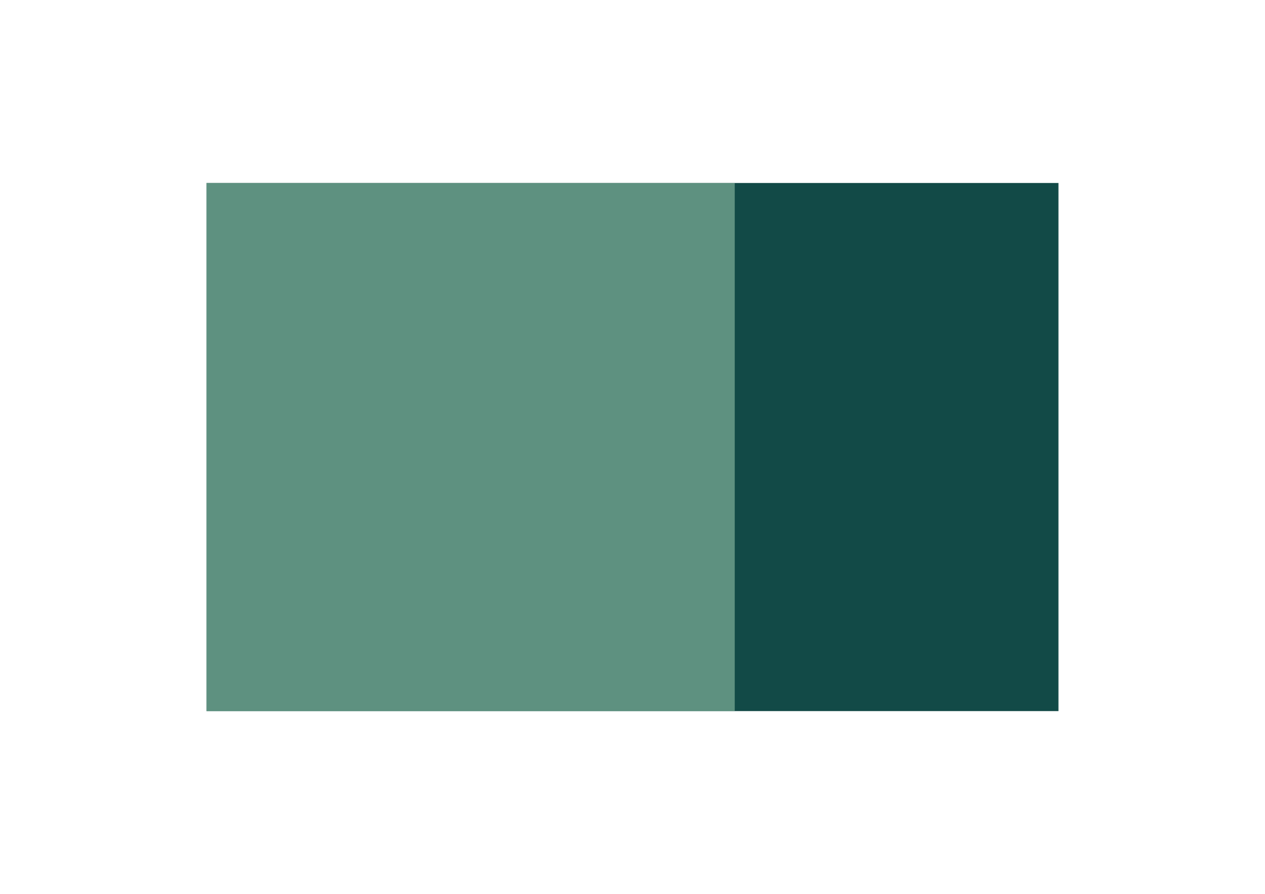 THE RECTANGLE.png