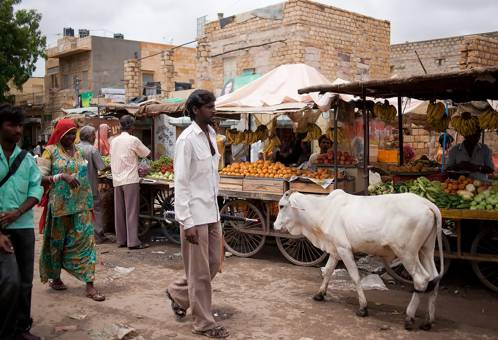india006.jpg