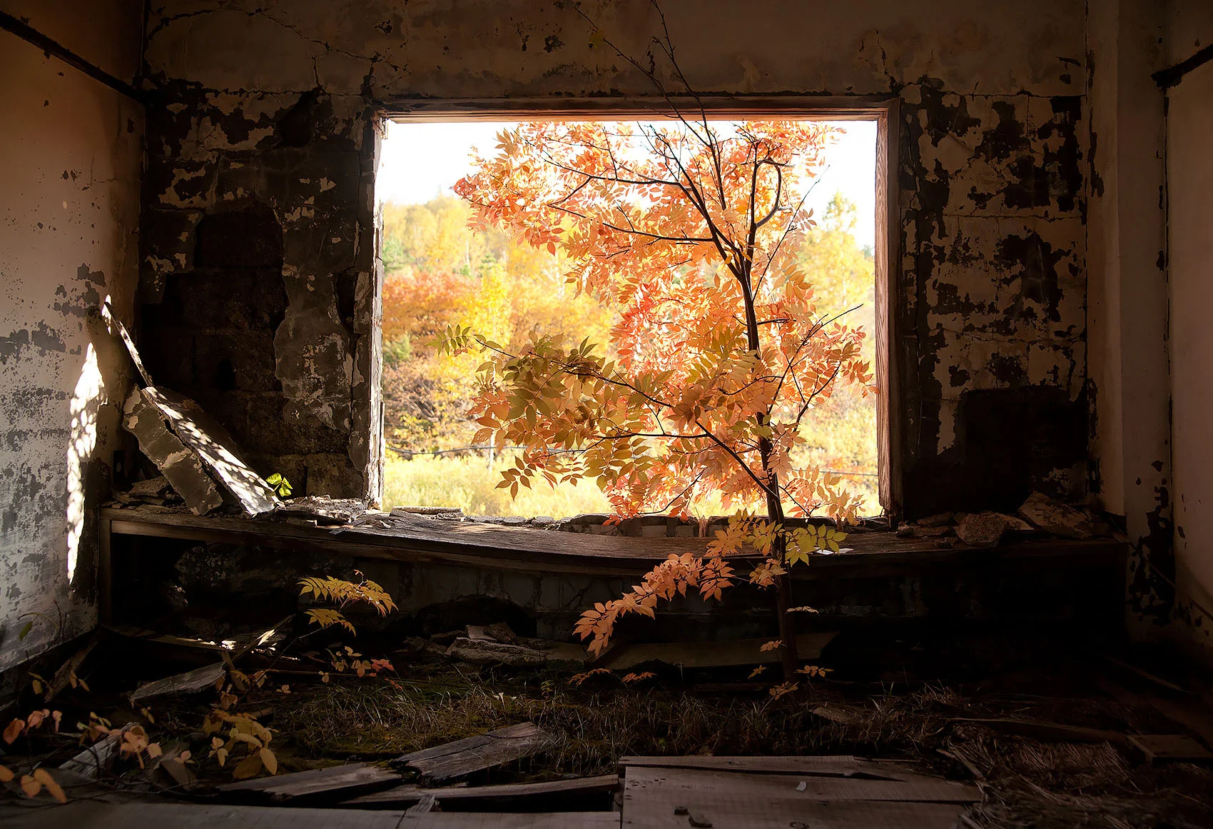 urbex002.jpg