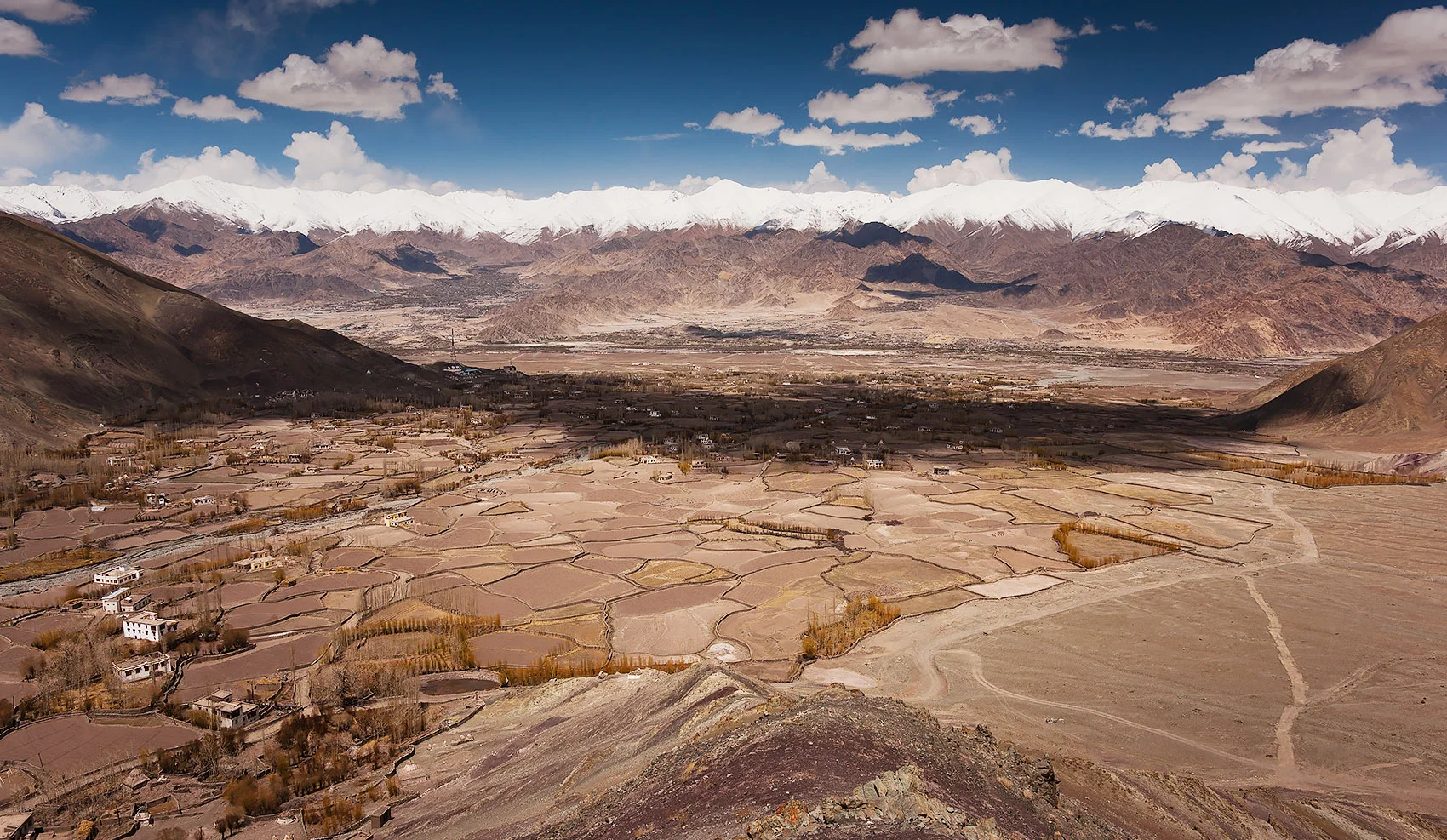 ladakh004.jpg