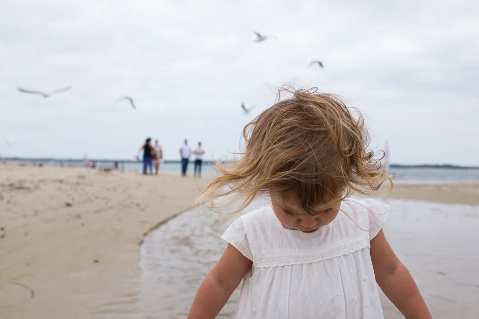 Windswept
