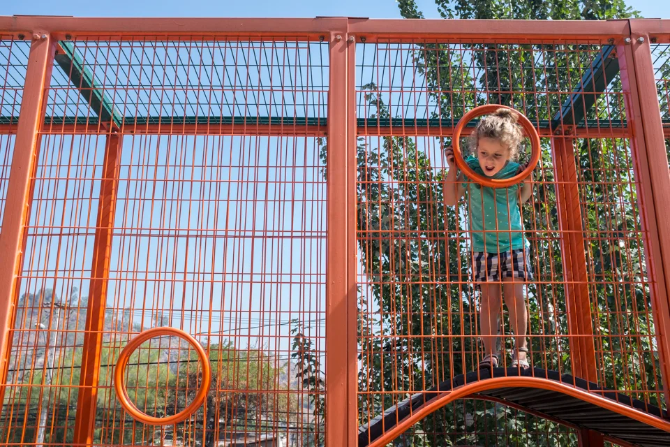 Climbing the cage