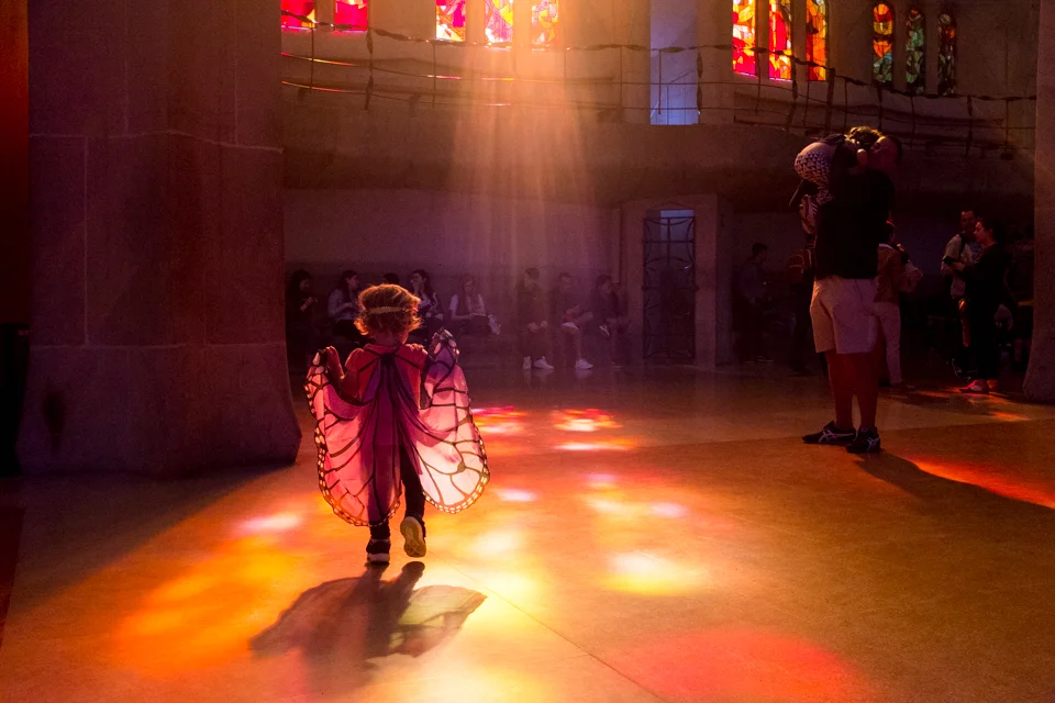Butterfly in the light, Sagrada Familia
