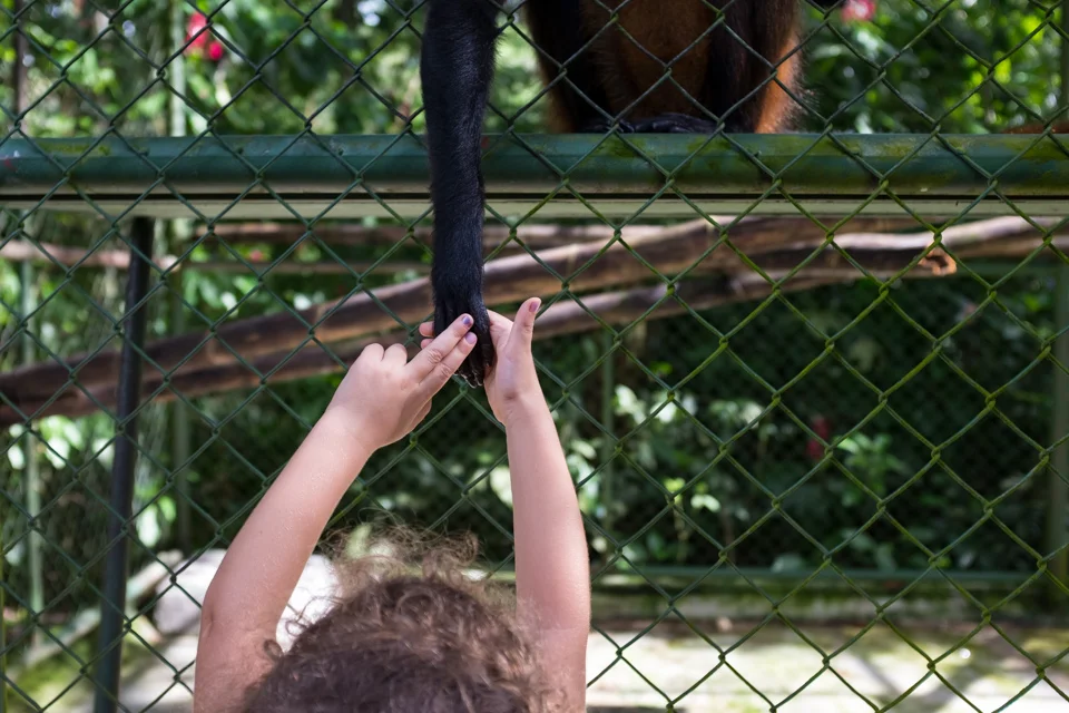 Making new friends