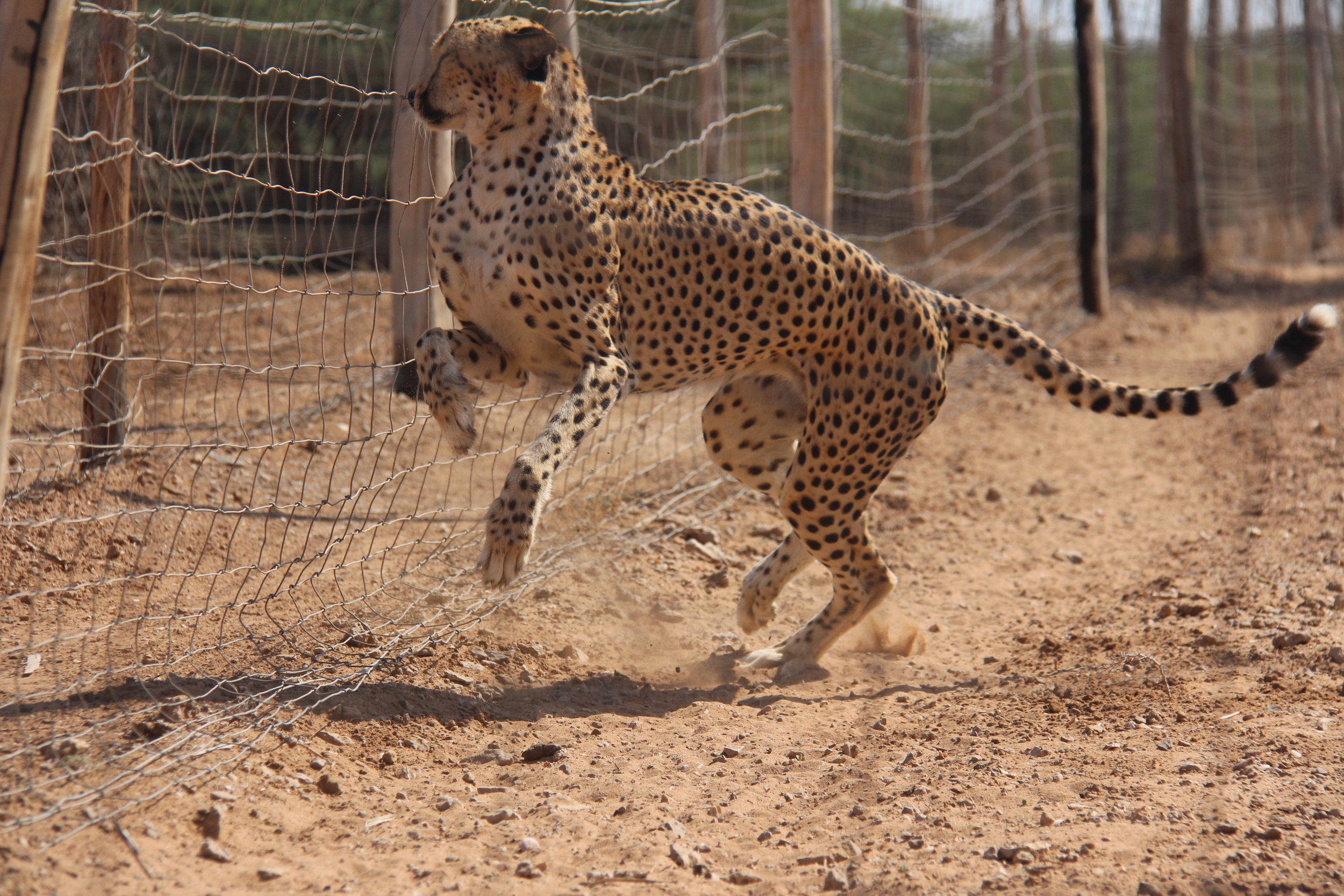 Decan Refuge Camp Field Trip