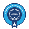 Safeguarding lead