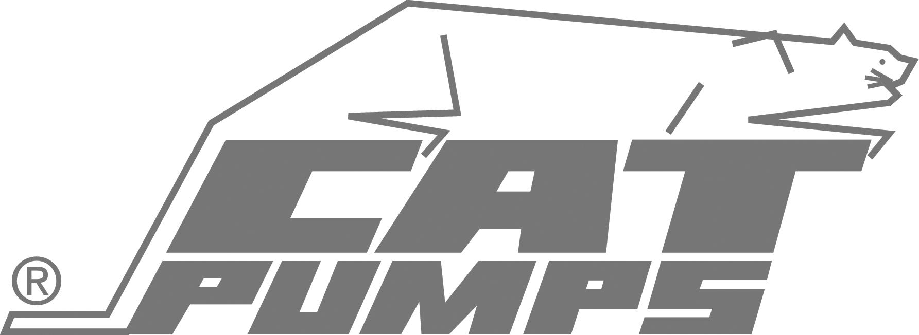 Cat Pumps bw.jpg