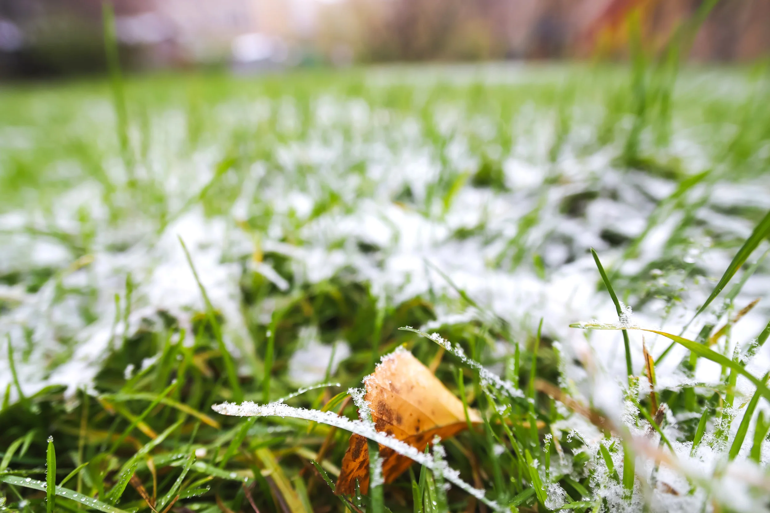 Baton Rouge Honda Lawn Equipment Winter Maintenance Tips