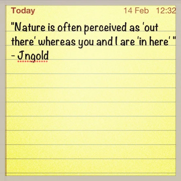 PhD Research weeks 4-6