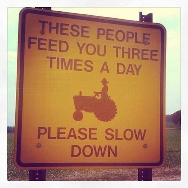 PhD research week 10