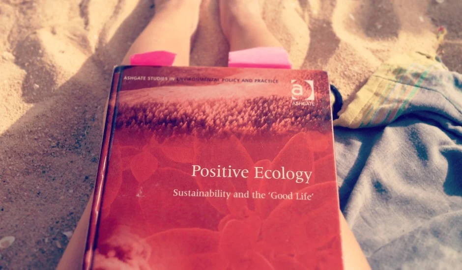 phd research week 32