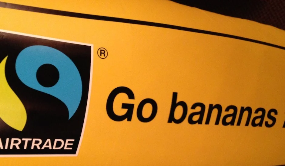 phd research week 39