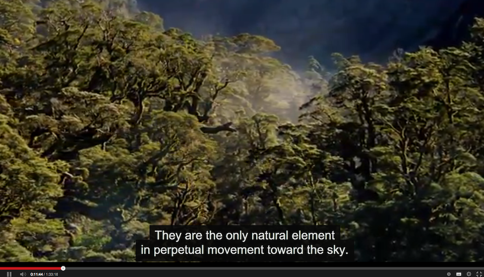 PhD Research Week 51