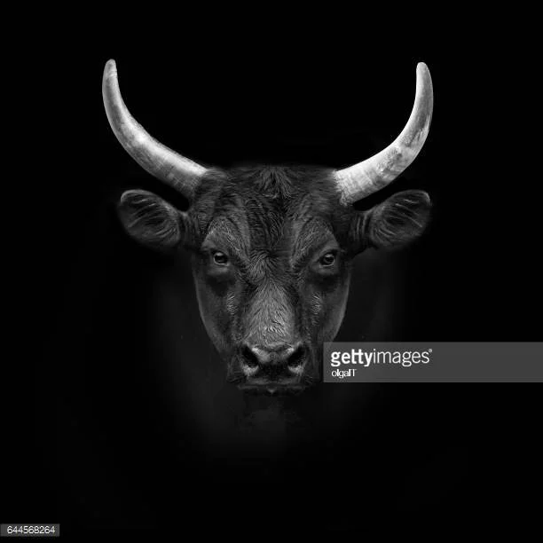 Dre Johnson - Beast Mode