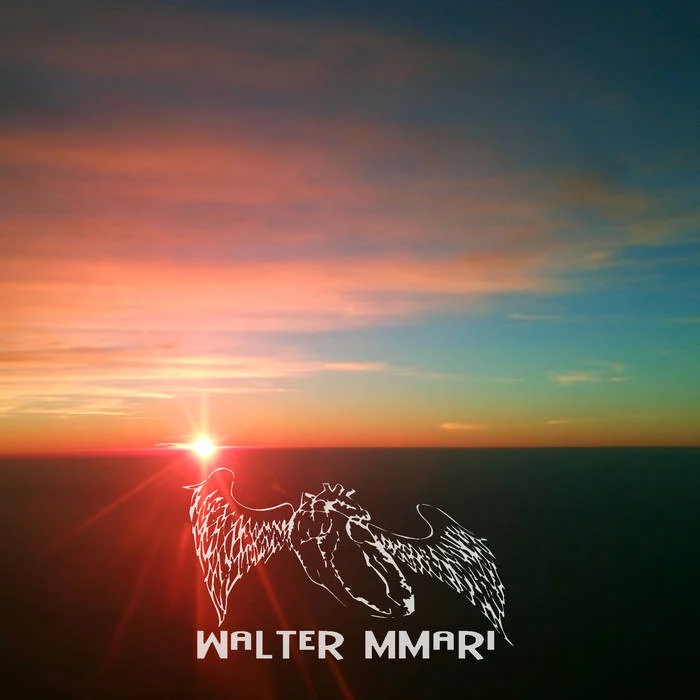 Album: Walter Mmari "Transient Beings" 