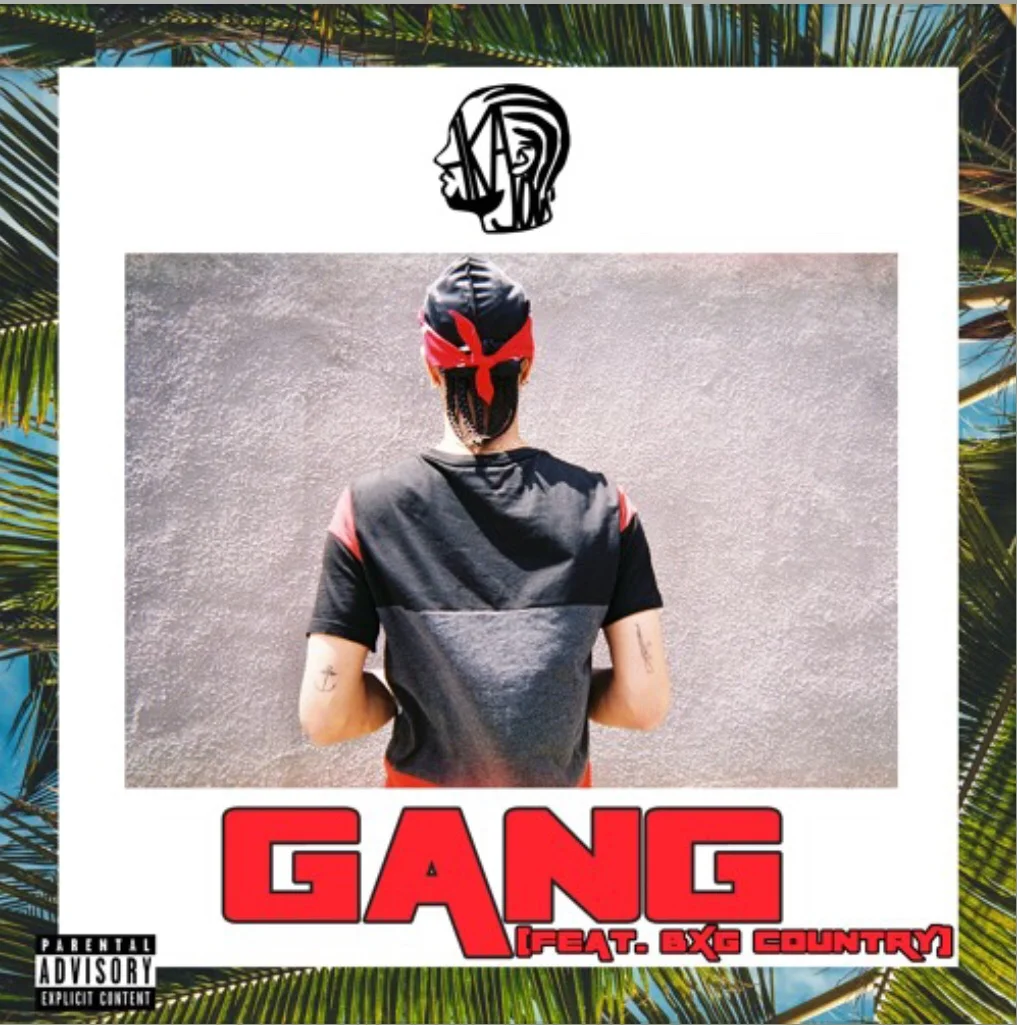 Akajou (Feat. Big Country) - Gang