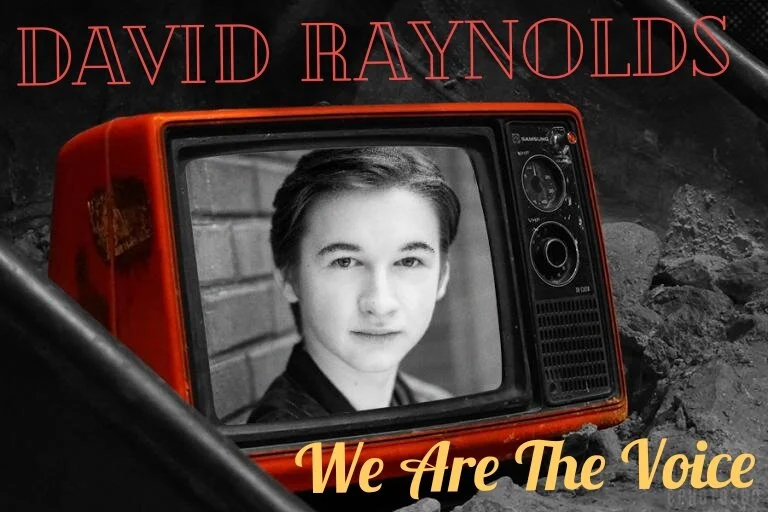 David Raynolds - We Are The Voice