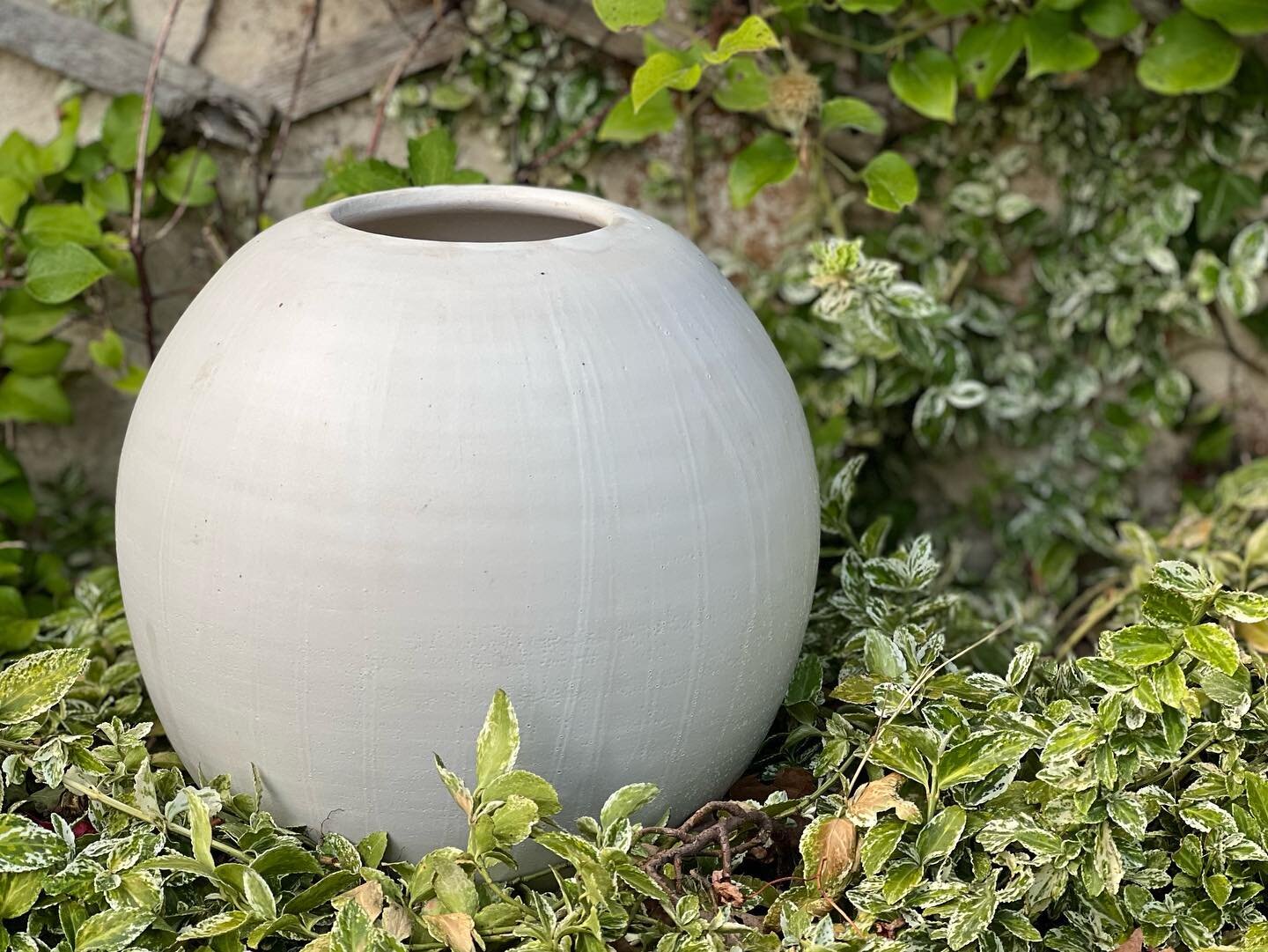 Potter&rsquo;s wife just rescued this moon jar from the potter&rsquo;s hammer and it&rsquo;s now sitting happily in the garden. Funny how you can feel so different about a piece! ! #moonjars #gardenpottery #genuinejersey #harbourgalleryjersey #madein