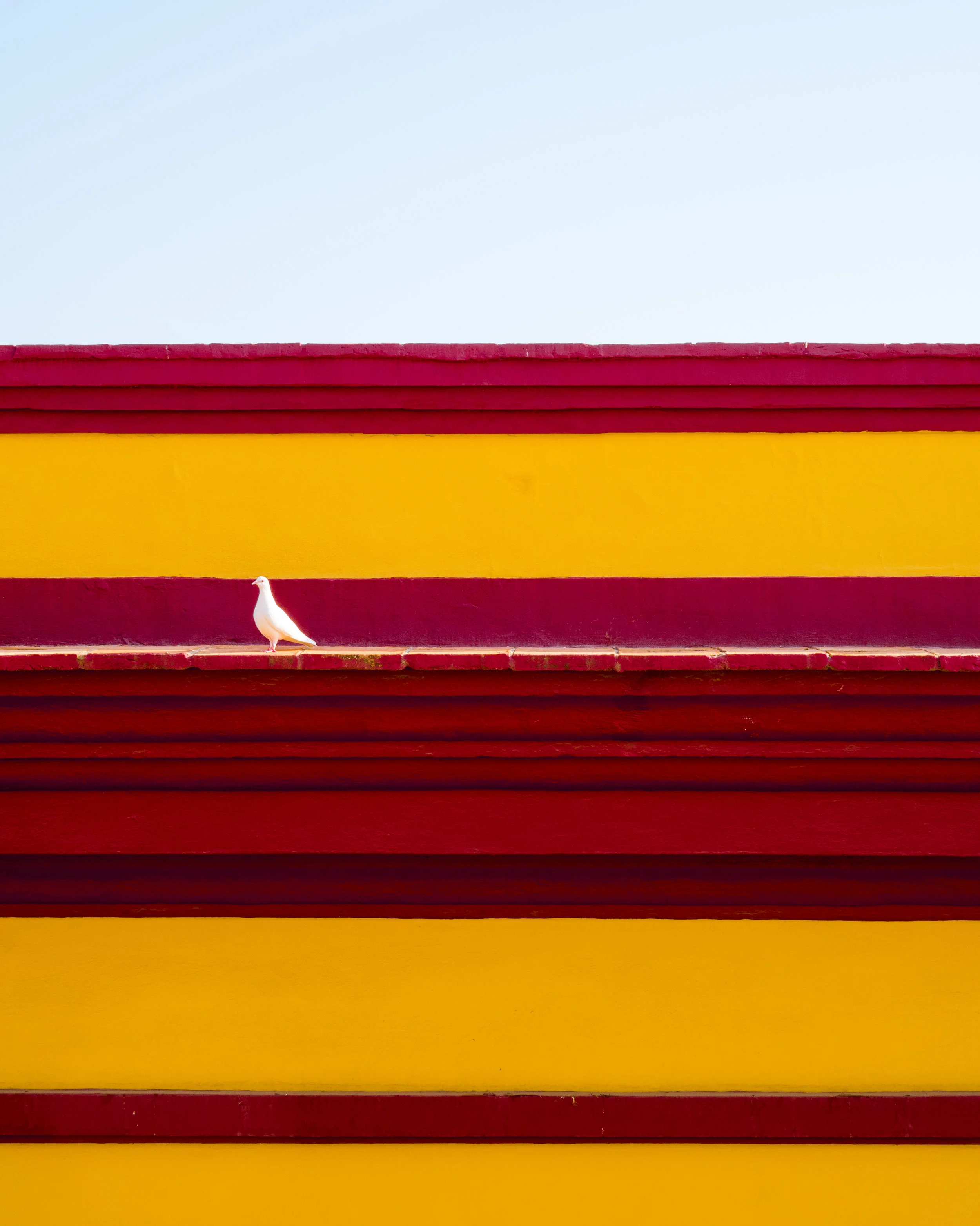 Sermon for Cantate Sunday - Fifth Sunday of Easter - May 10 2020