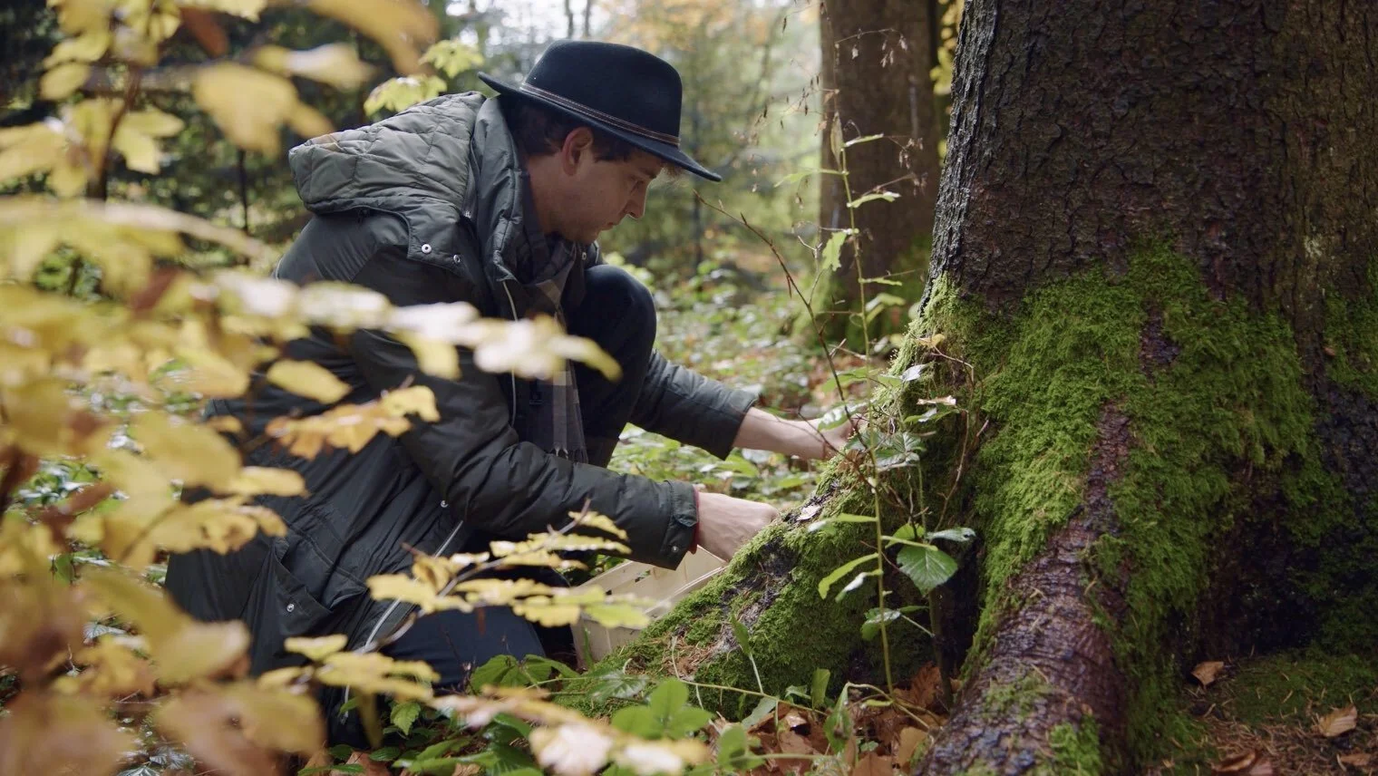 Testimonial - Restaurant Segreto