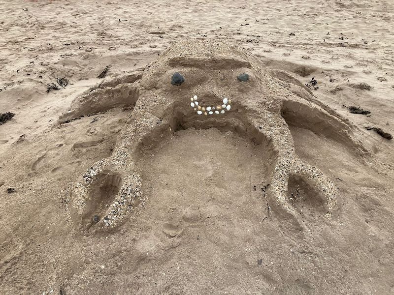 Sandcastle Competition