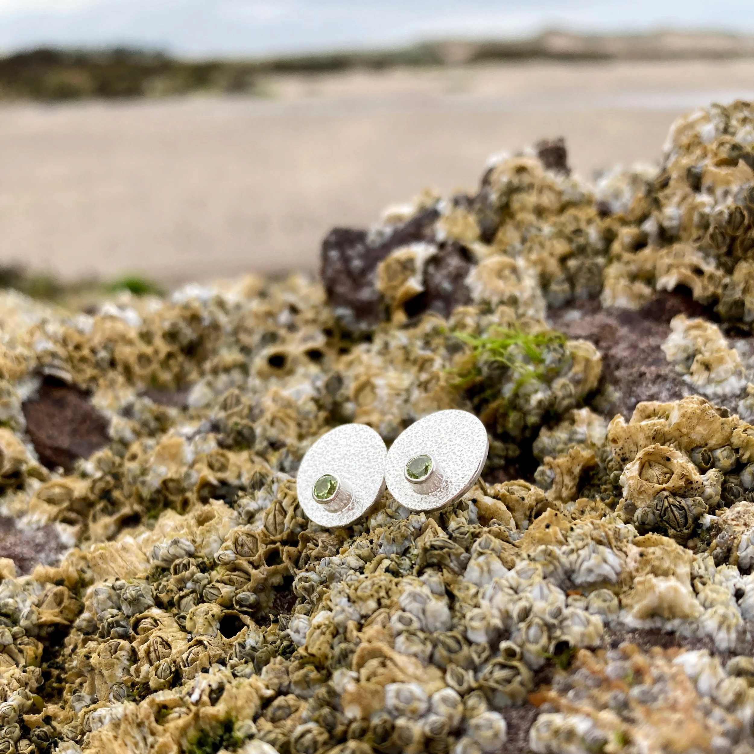 Cove Birthstone Stud Earrings 4.jpg