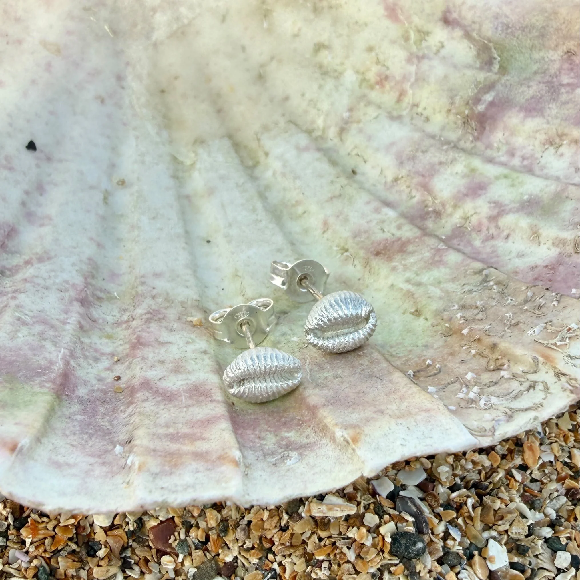 sterling-silver-cowrie-shell-studs-posts-backs.jpeg