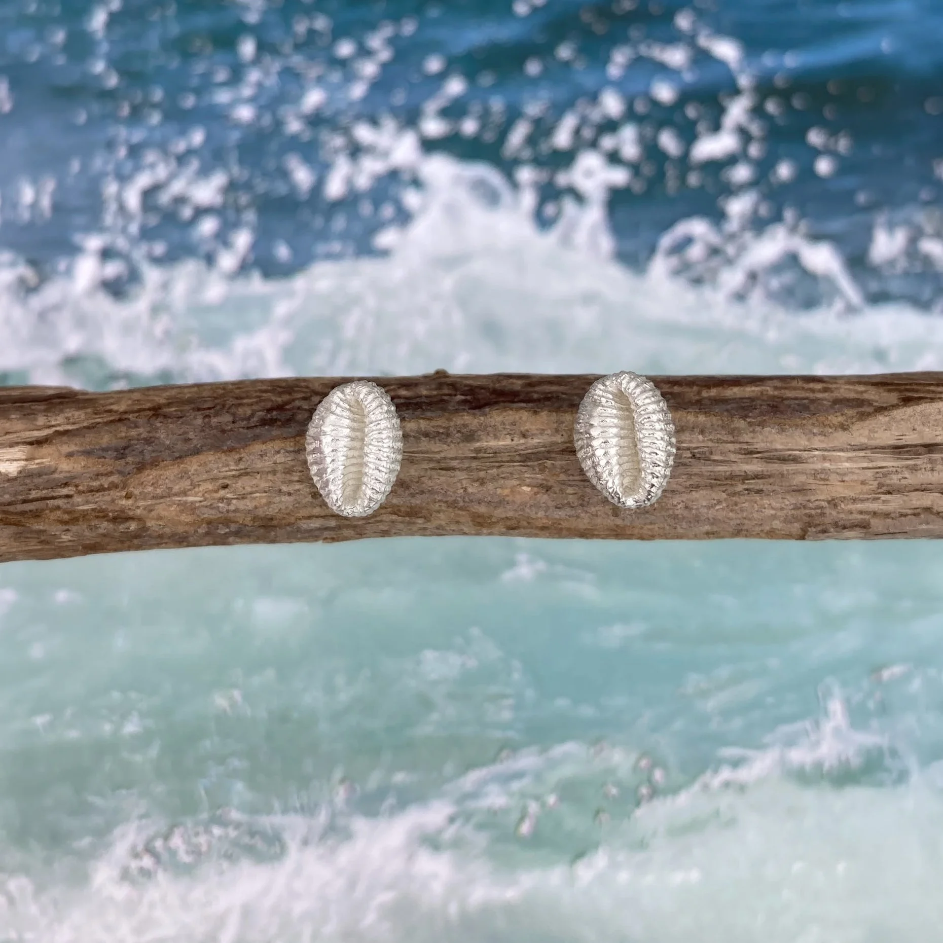 handmade-silver-cowrie-shell-stud-earring-close.jpeg