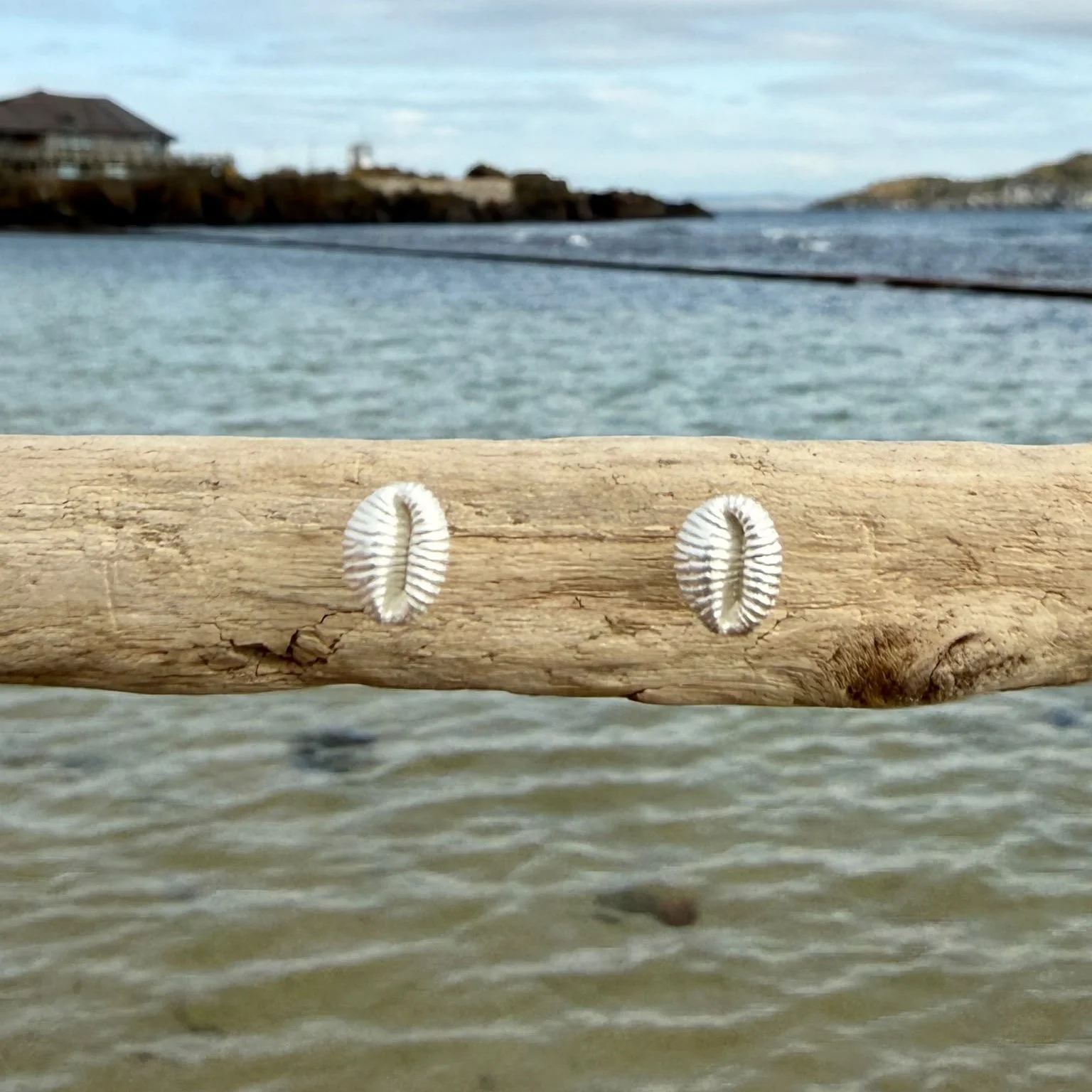 tiny-cowrie-shell-stud-earrings-sterling-silver.jpeg