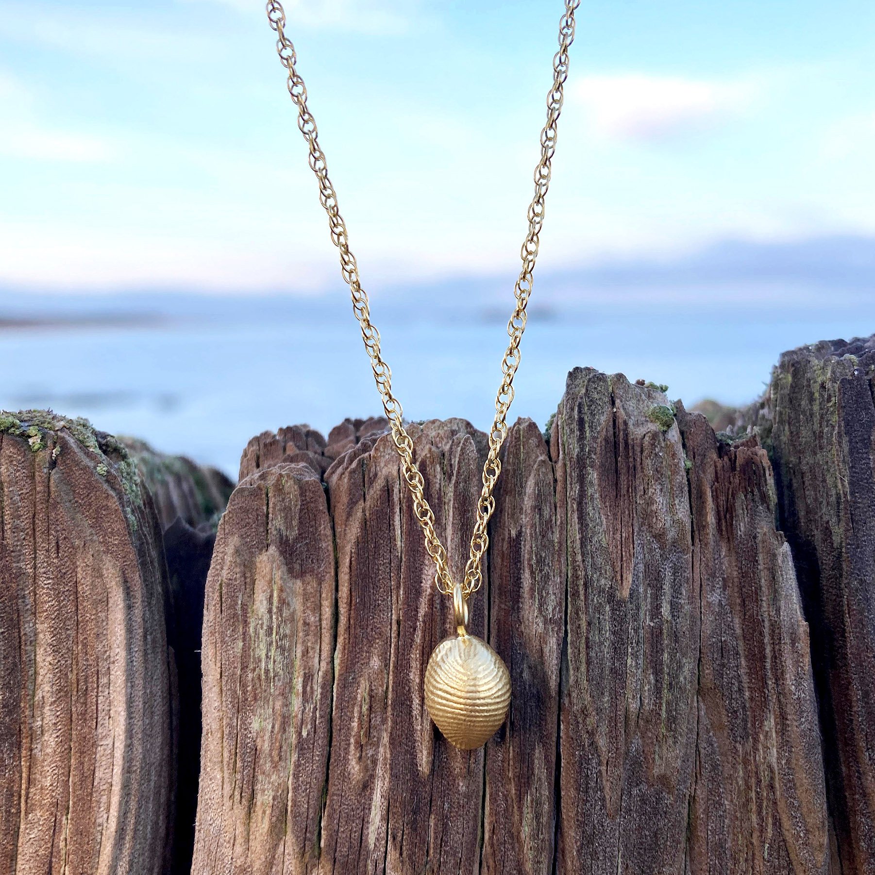HLL Shell Necklace 18ct Gold Plated 4 copy 2.jpg