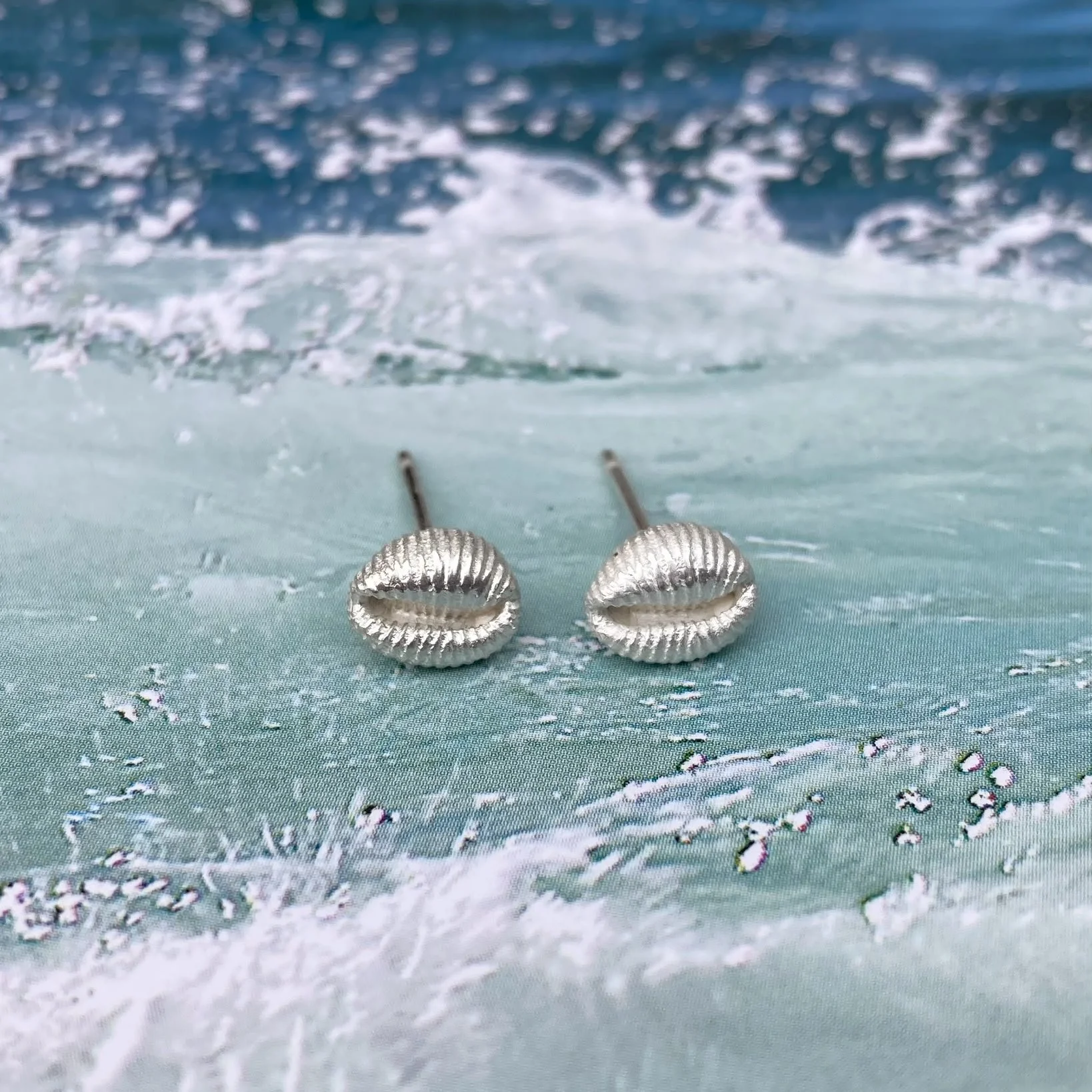 recycled-silver-cowrie-shell-stud-earring-coast.jpeg